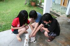 AMCF Christmas BBQ at John Chew's House