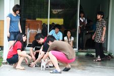 AMCF Christmas BBQ at John Chew's House