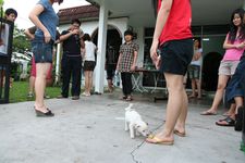 AMCF Christmas BBQ at John Chew's House