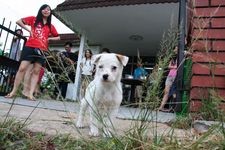 AMCF Christmas BBQ at John Chew's House