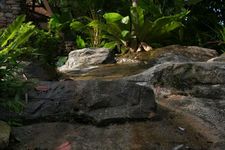 AMCF Gunung Jerai Trip