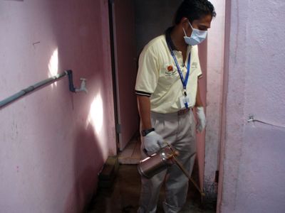 spraying sodium hypochlorite