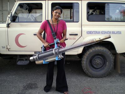 Anopheles-resting-position.