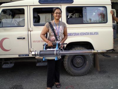 Aedes-resting-position.