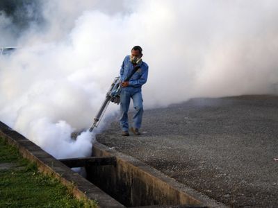 oil-based preparations.