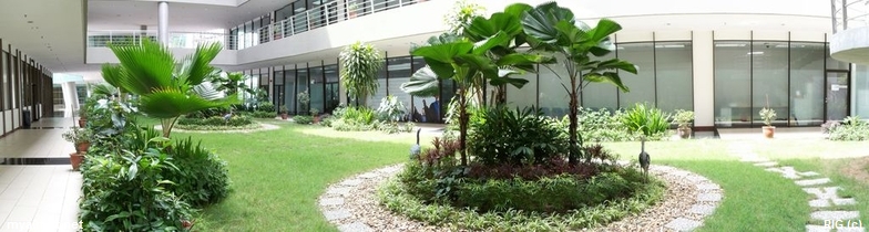 Aimst Administration building Indoor Garden