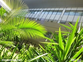 Aimst Administration building Indoor Garden